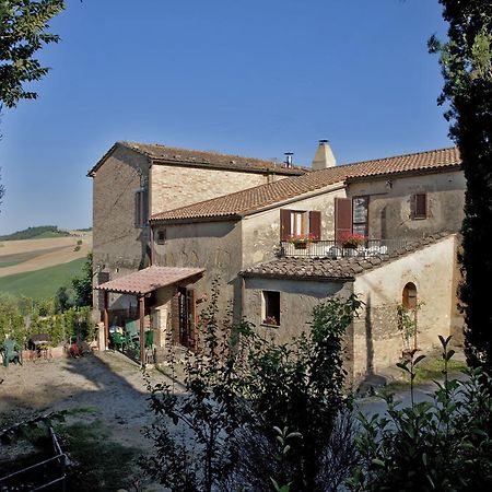 Agriturismo Podere Olivello In Val D'Orcia Montalcino Exterior foto