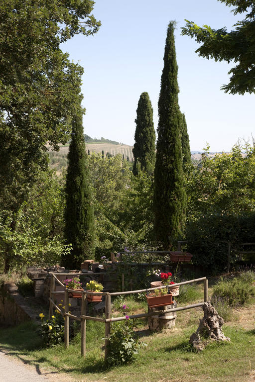 Agriturismo Podere Olivello In Val D'Orcia Montalcino Exterior foto