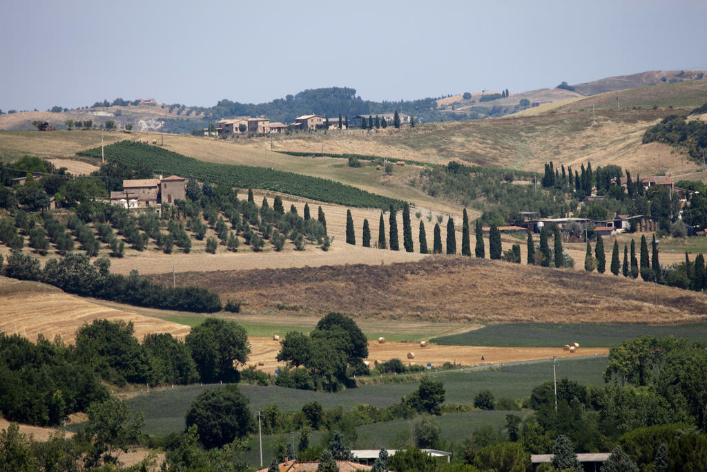 Agriturismo Podere Olivello In Val D'Orcia Montalcino Exterior foto